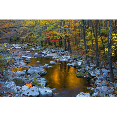 Fall Foliage Along Little River, Smoky Mountains NP, Tennessee, USA Print Wall Art By Joanne
