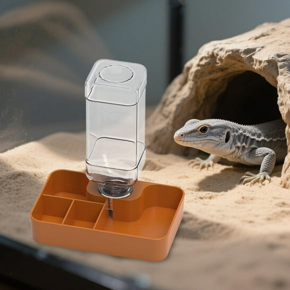 Comedero para reptiles, cuenco de agua, accesorio de hábitat, múltiples compartimentos, bebedero para reptiles, cuenco para geco, tortuga, camaleón, Caqui pequeño