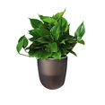 thumbnail image 1 of Pot de Fleurs Mural d'Angle Auto-Arrosant Pot de Plante en Plastique, 1 of 9
