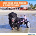 thumbnail image 7 of Walkin' Wheels Dog Wheelchair - Vet Approved - Small Dogs 11-25 Pounds, 7 of 7