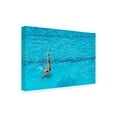thumbnail image 3 of Trademark Fine Art Linda Wride synchronised swimming practice Canvas Wall Art, 3 of 4