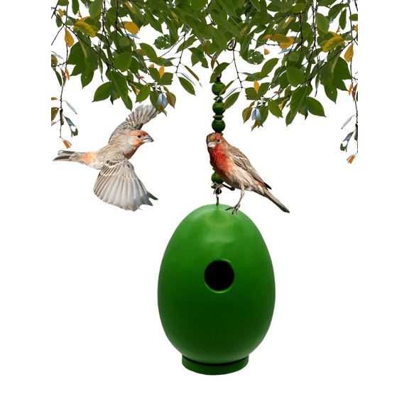 Songbird Essentials Wooden Bird House Green Wren House for Outside