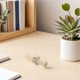 thumbnail image 4 of OUNONA Silbato Para De Pato De Plástico Con Sonido Para Caza Y Observación Exterior, 4 of 8
