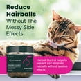 thumbnail image 2 of VetriScience Hairball Control Digestive Health Supplement Chews for Cats, Chicken, 60 Count Jar, 2 of 9