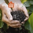 thumbnail image 5 of Coop Poop Plant Food Garden Fertilizer Shaker Granules, 1 lb, 5 of 5