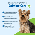 thumbnail image 6 of Pet Wellbeing Natural Dog Stress & Anxiety Relief - Calming Care 2oz (59ml), 6 of 8