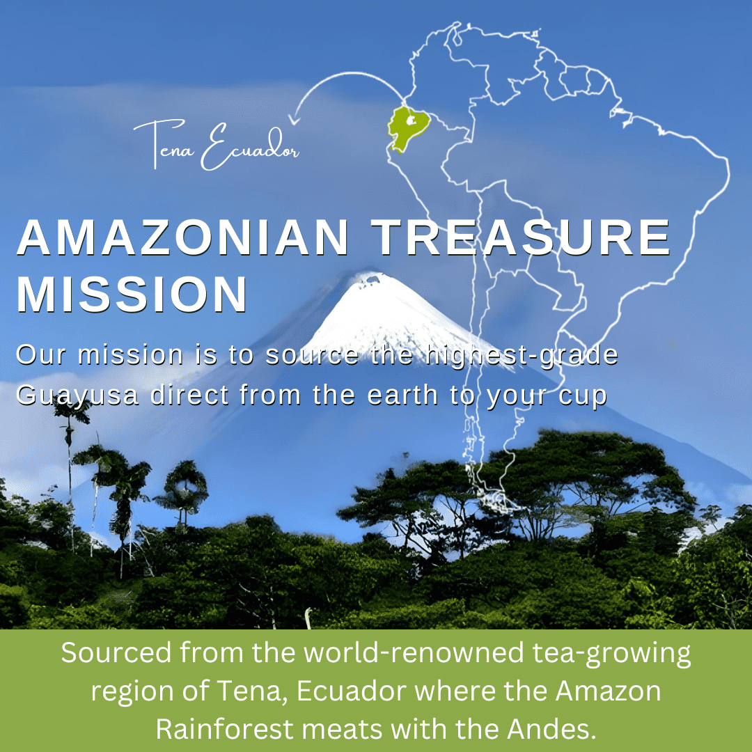 Amazonian Treasure, Organic Guayusa Tea Bags - 60 Count, Coffee Alternative, 50mg Natural Caffeine, Energy & Focus Booster, Freshness Preserving Tin, Perfect for a Gift.