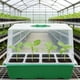 thumbnail image 5 of Bandeja de cultivo con tapa para iniciar plantas, ideal para jardinería interior, tierra y pasto de trigo. Verde, 5 of 7