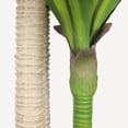 thumbnail image 5 of 5' Artificial Dracaena Tree with Black Plastic Pot, 1pc/set, 5 of 5