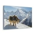 thumbnail image 2 of Yak Hunting Yak on Hunt Print Animal Wall Art Wildlife Canvas Prints Wall Art Ready to Hang Unframed, 2 of 18