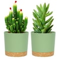 thumbnail image 1 of QCQHDU 2 Pack Plant Pot, Green Plastic Indoor Planter With Drainage Holes And Removable Base, 1 of 6