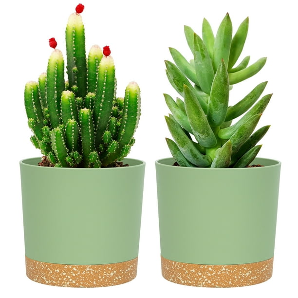 QCQHDU 2 Pack Plant Pot, Green Plastic Indoor Planter With Drainage