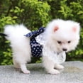 thumbnail image 4 of Dog Bowknot Harness with Leash Set For Small Medium Dogs Cat Lace Print Fashion Party, 4 of 5