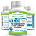 thumbnail image 5 of Power by Naturals - Certified Organic Sea Moss Plus - Wildcrafted Irish Sea Moss Bladderwrack Burdock Root - Pure Sea Moss Powder Supplements - 60 Vegan Capsules, 5 of 8