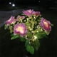 thumbnail image 5 of Naiovety Luces de flores con energía solar, luz solar para césped de rosas, luces decorativas para césped al aire libre, patio y jardín Iluminación y accesorios Rosa roja, 5 of 6
