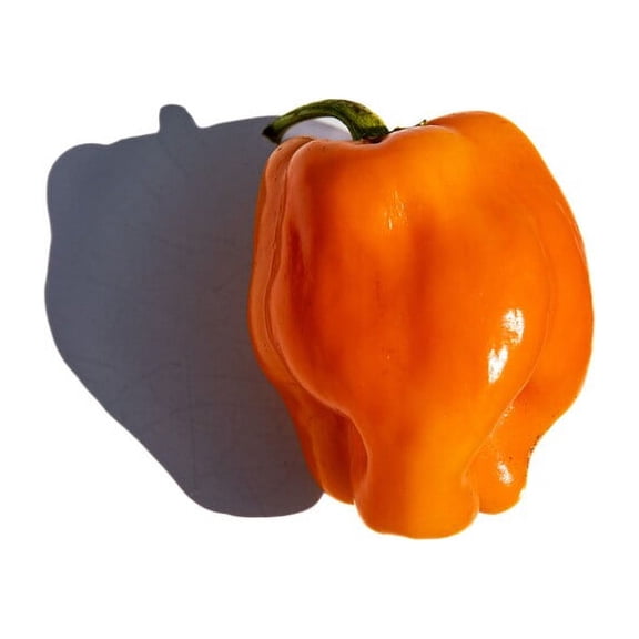 Petit Marseillais French Heirloom Pepper Premium Seed Packet