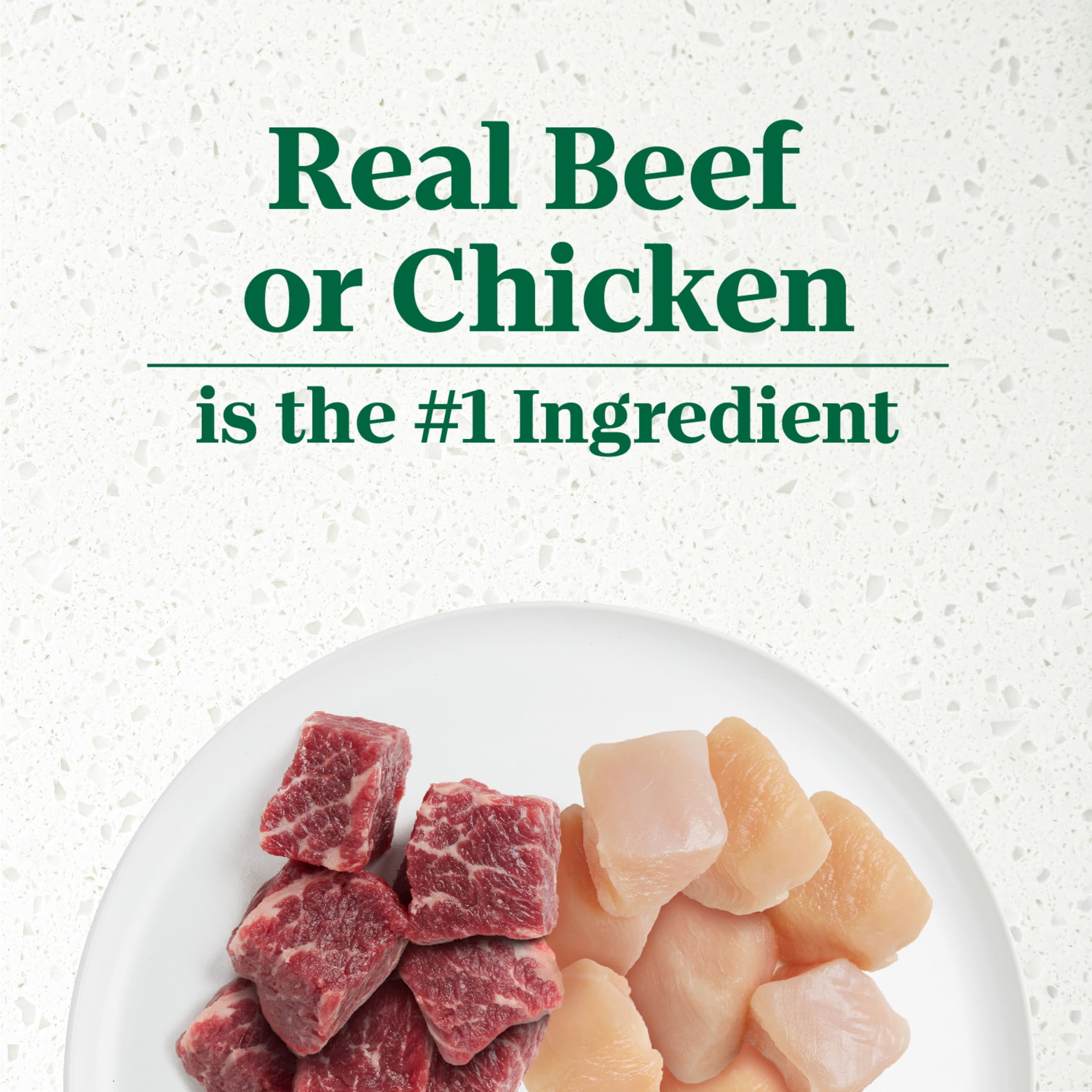 Nutro Ultra Filets In Gravy Beef & Deluxe Chicken Wet Dog Food Variety Pack, (12) 3.5 Oz Trays