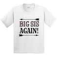 thumbnail image 3 of Inktastic Big Sis Again Sister Announcement Youth T-Shirt, 3 of 5