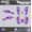 Blue, variant on Kalair GFX Graphics Kit for Honda ATV TRX 400EX (2005-2007) Snagged Series