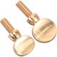 thumbnail image 1 of BESTYASH 2Ud Tornillos De Cuello Para Saxofón De Cobre Dorado Resistente Y Ligero Para Repuesto, 1 of 8