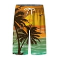thumbnail image 2 of CHANGMOO Man Swim Trunks - Print Beach Quick Drying Holiday Men'S Bathing Suits 9 Inch Inseam Mens Board Shorts No Liner, 2 of 4