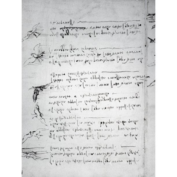 Leonardo da vinci medical drawings Leonardo da vinci medical drawings picture