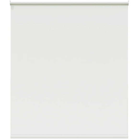 Light Filtering Cordless Roller Window Shade / 55" x 72" White
