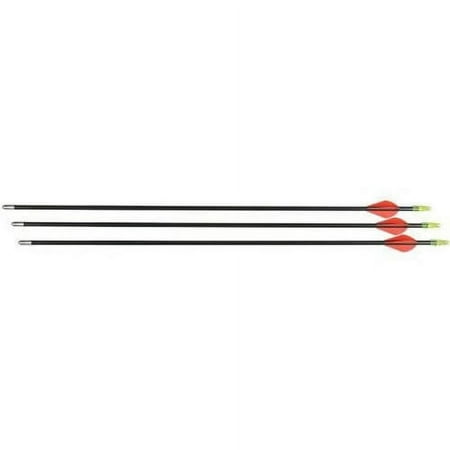 Allen Company 28 Fiberglass Youth Arrow