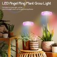 thumbnail image 2 of Grow Light for Indoor Plants, LED Small Grow Light, Height Adjustable Angel Ring Plants Growing Lamp, Full Spectrum, Automatic Timer, 5V Low Safe Voltage, Ideal for Small Plant Light (1 Head), 2 of 6