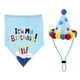 thumbnail image 1 of 1 gorro de fiesta de cumpleaños para mascotas., 1 of 3