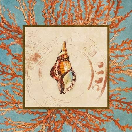 24 Coral Shell - Coral Medley Shell IV Canvas Art - Lanie Loreth (24 x 24)