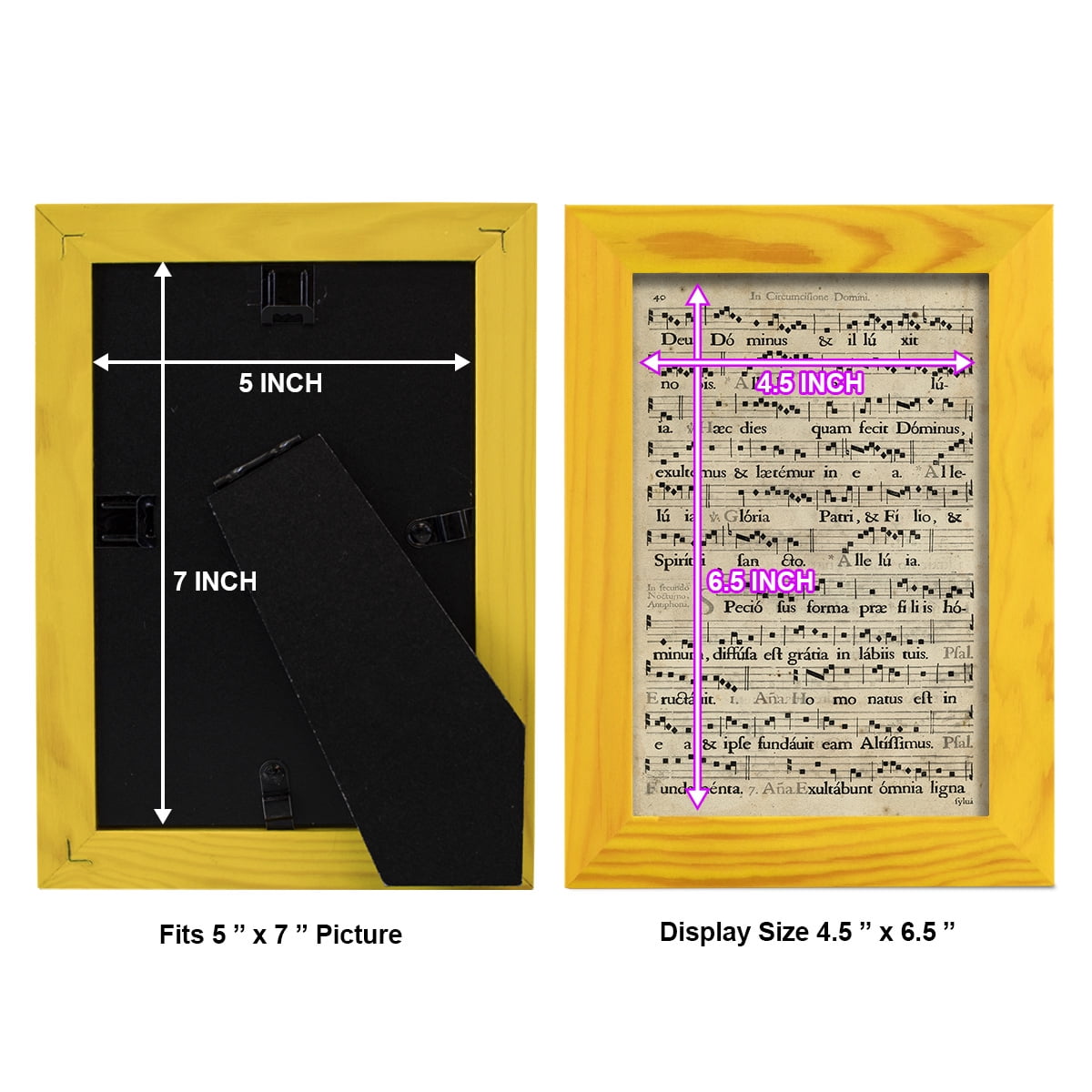 Vellum Songbook II -Framed Print w/glass-Sunflower Yellow