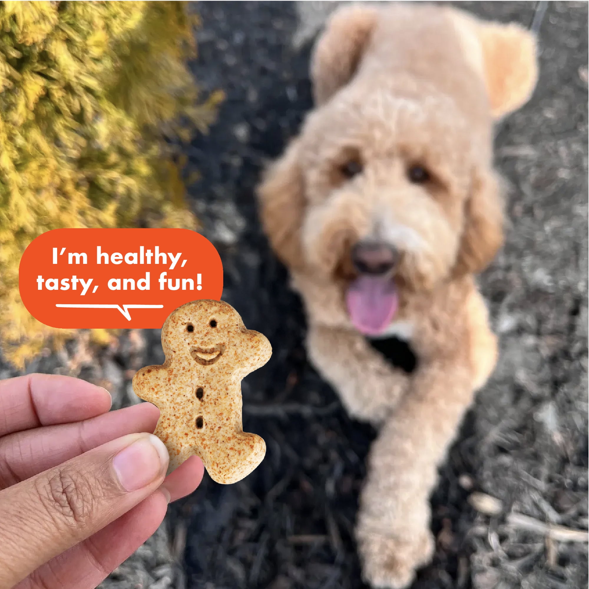 Buddy Biscuits Crunchy Medium Dog Treats, Peanut Butter, 20 oz. Jar
