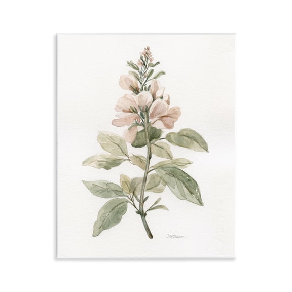 Stupell Industries Subtle Watercolor Botanicals Plants & Flowers Painting Unframed Art Print Wall Art, 11 x 14
