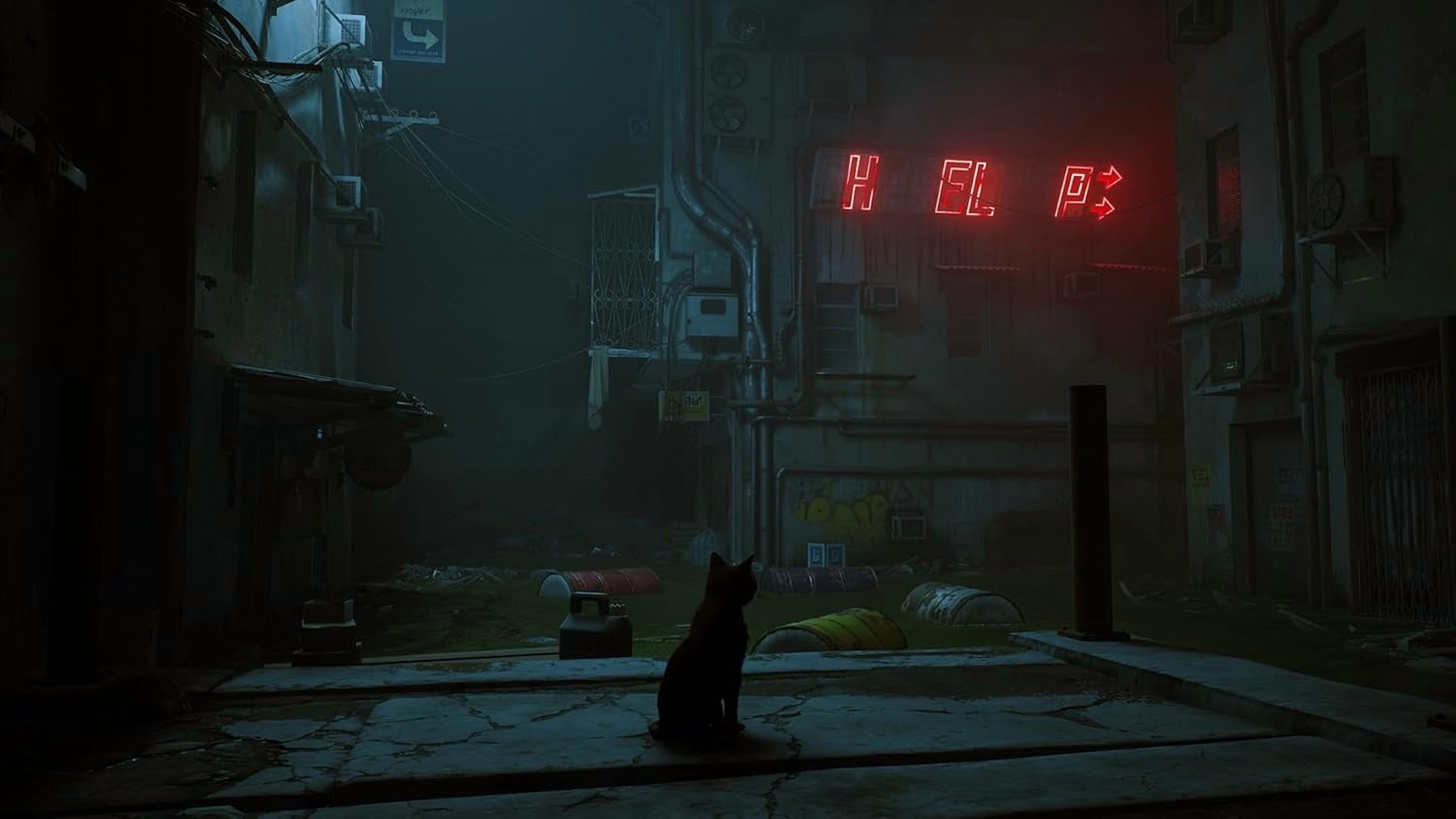 Stray, Nintendo Switch photo 4