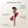 thumbnail image 2 of EcoTools Blending Blush Brush, 2 of 5