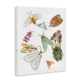 thumbnail image 2 of Stupell Industries Eclectic Winged Insect Group Tropical Color Bugs Canvas Art, 16 x 20, by Melissa Wang, 2 of 7