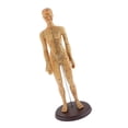 thumbnail image 4 of Acupuntura Humana y Moxibustión Modelo Femenino Juguetes de Zulema Figurilla de punto de acupuntura, 4 of 8