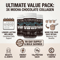 thumbnail image 3 of Nutribas Protein Collagen Peptides Powder for Whole Body Support, Coffee Creamer with MCT & Vitamin C, Chocolate, 3 Packservings, 3 of 9