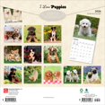 thumbnail image 2 of Puppies, I Love 2026 Square Flap, 2 of 3