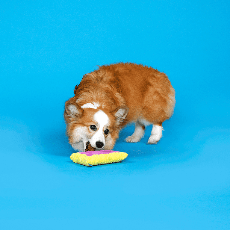 BARK Toaster Pup Pastry Squeaky Crinkle Plush Toy photo 4