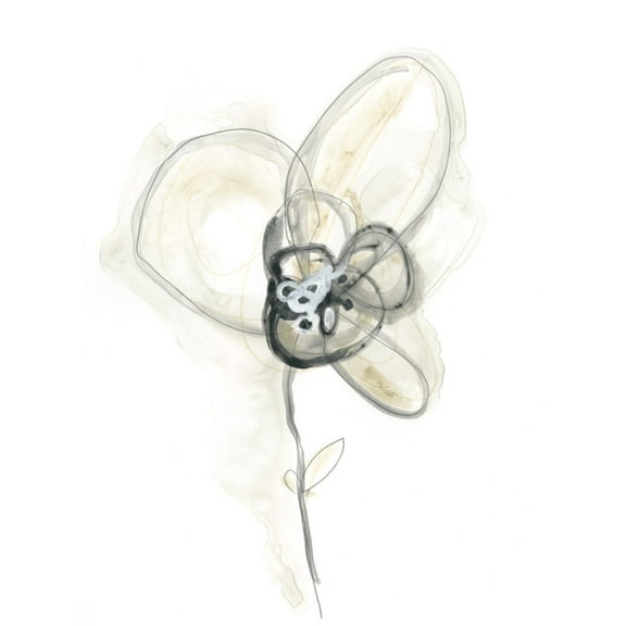 Art.com Monochrome Floral Study I Art Print by June Vess, 18" x 24"