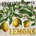 thumbnail image 3 of Bailey, Ann 12x12 Black Modern Framed Museum Art Print Titled - Fresh Picked Lemons, 3 of 5