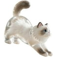 thumbnail image 1 of Cat Hair Memorial Bottle | Transparent Glass Keepsake Storage Box for Pet Fur | Memorial Display Case for Cat Lovers | Home Decoration Memory Box for Pet Remembrance, 1 of 4
