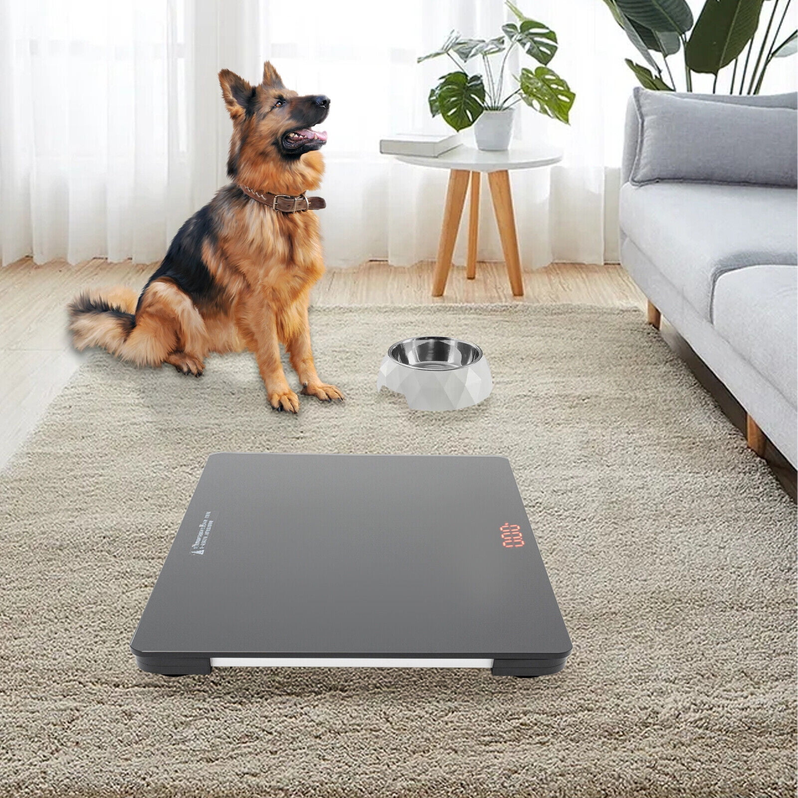 Hospital Pet Store Scale Large Dog Weighing Scale 100KG LCD Scale High Precision Black