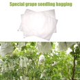 thumbnail image 4 of 100 Fruit Protection Bag Net Bags Grape Bunch Protection Against Birds And Insects Wasps Hornets 30 x 20 cm, 4 of 5