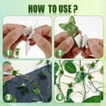 thumbnail image 3 of POINTERTECK 50Pcs Plant Climbing Clips Self-Adhesive Plant Climbing Wall Fixture Clips Butterfly Shaped Plant Support Clips Reusable Vines Fixing Clips Plant Wall Clips for Indoor Outdoor, 3 of 8