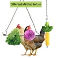 thumbnail image 7 of Vehomy Chicken Xylophone Toy and 2PCS Chicken Veggies Skewers Fruit Holder Chicken Vegetable Hanging Feeder Chicken Toys for Hens 3Pcs, 7 of 7