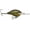 Mardi Gras, variant on Rapala DT 6 Crankbait Bleeding Olive Shiner