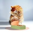 thumbnail image 1 of CATIEBYE 4Pcs Silicone Heat Insulation Pads for Pet Food Waterproof Durable Non Slip Mat, 1 of 8